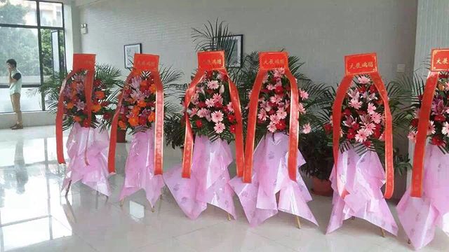 正能量网站在线观看装饰开业大吉.jpg