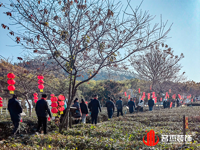 正能量奖励网站入口公司